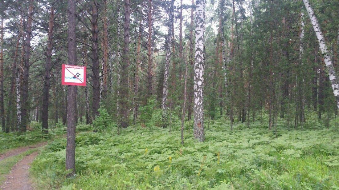 Daily Pictures. Part 1 (63 pics)