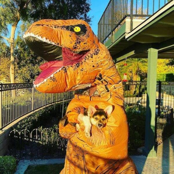 Daily Pictures. Part 2 (62 pics)