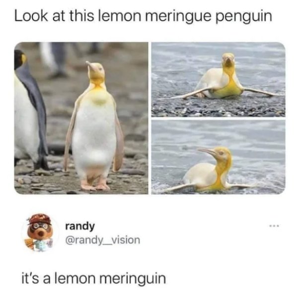 Daily Pictures. Part 2 (62 pics)