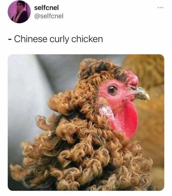 Daily Pictures. Part 2 (62 pics)