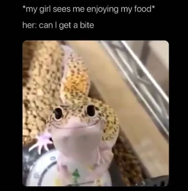 Daily Pictures. Part 2 (62 pics)