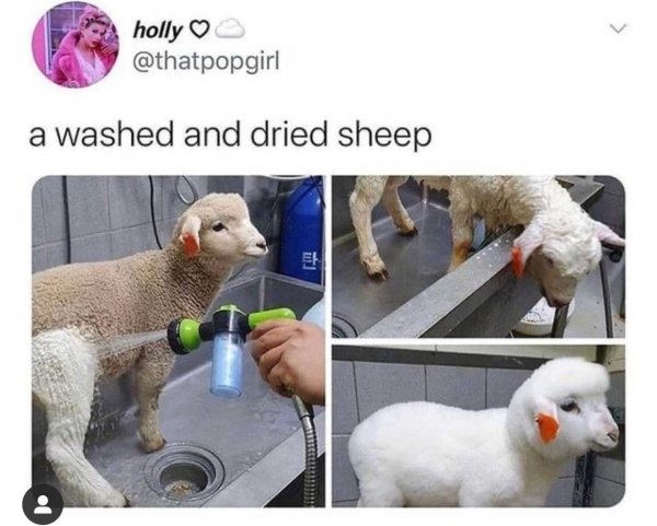 Daily Pictures. Part 2 (62 pics)