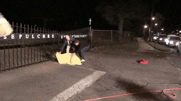 Acid GIFs, December 25 (25 gifs)