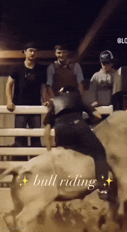 Acid GIFs, December 25 (25 gifs)