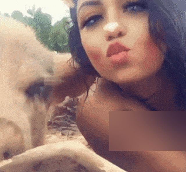 Acid GIFs, December 25 (25 gifs)