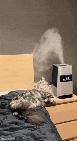 Acid GIFs, December 25 (25 gifs)