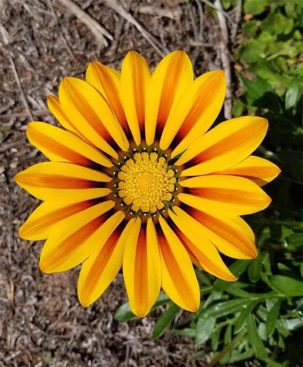 Photos For Perfectionists (17 pics)