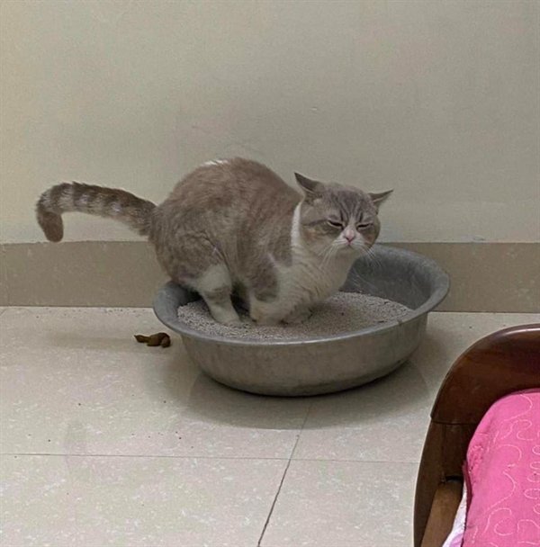 Bad Days Happen (18 pics)