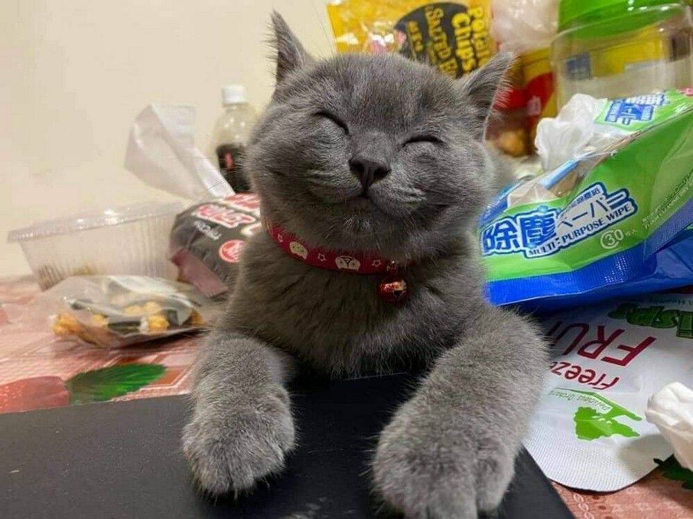 Daily Pictures. Part 1 (60 pics)