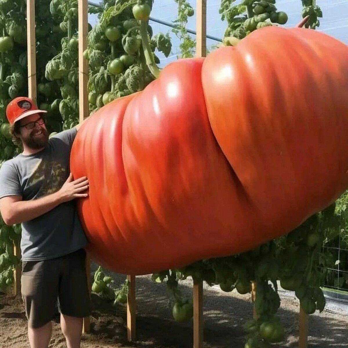 Daily Pictures. Part 1 (60 pics)