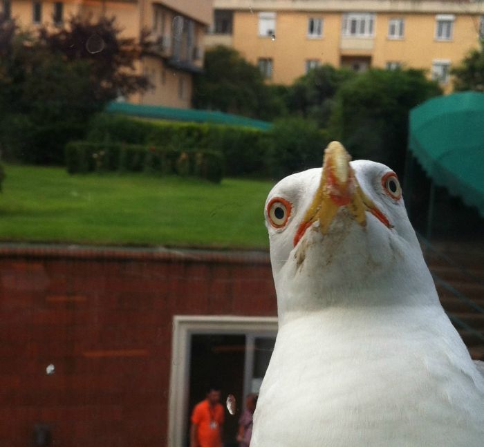 Daily Pictures. Part 1 (60 pics)