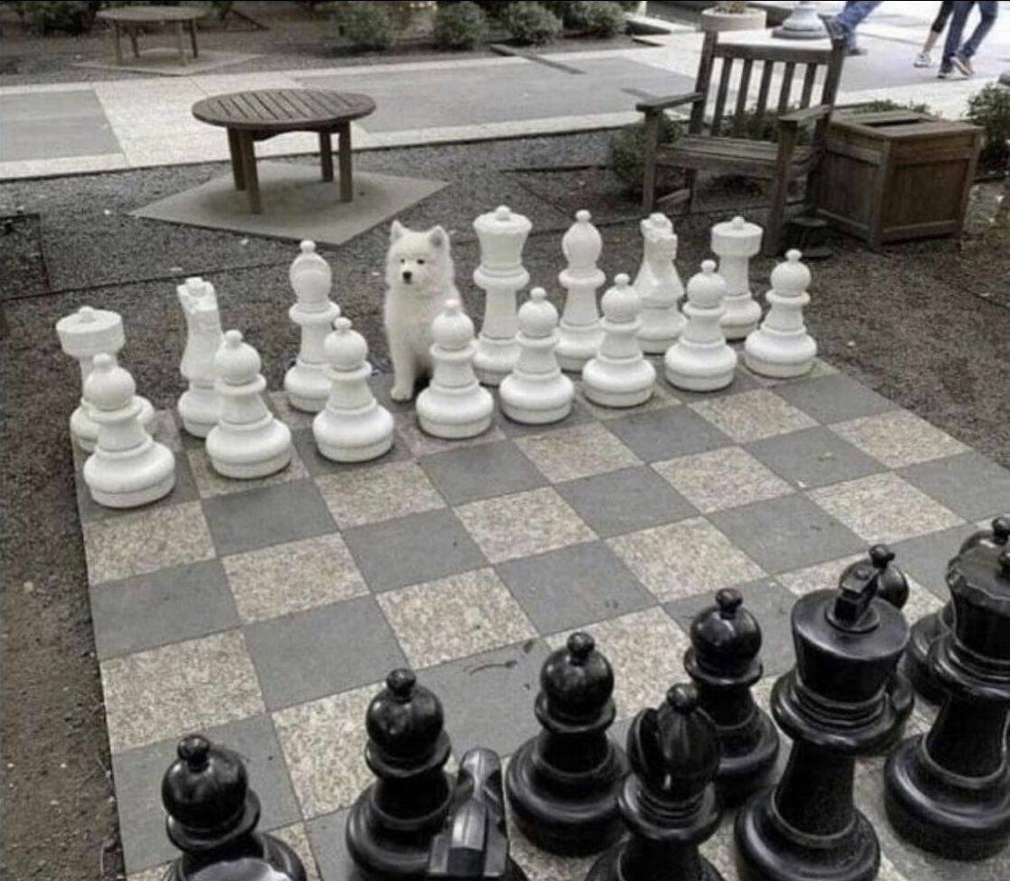 Daily Pictures. Part 1 (60 pics)