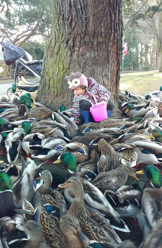 Daily Pictures. Part 1 (60 pics)