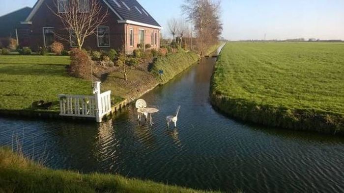 Daily Pictures. Part 1 (60 pics)