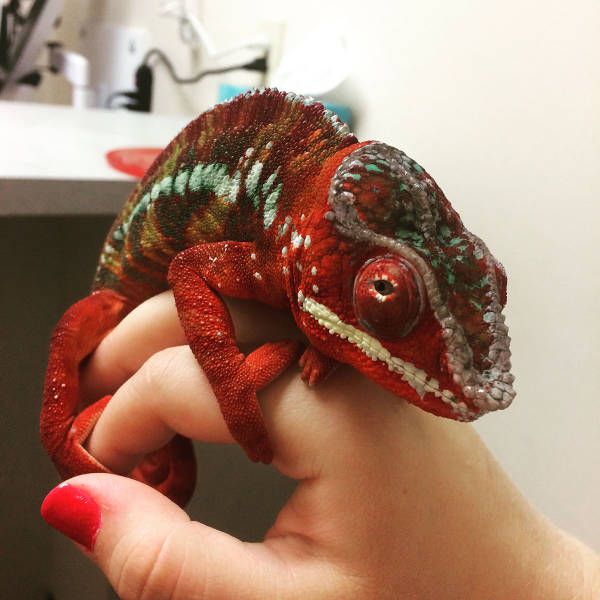 Daily Pictures. Part 1 (60 pics)