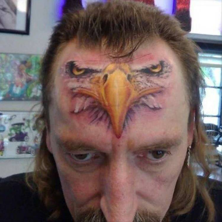 Daily Pictures. Part 1 (60 pics)