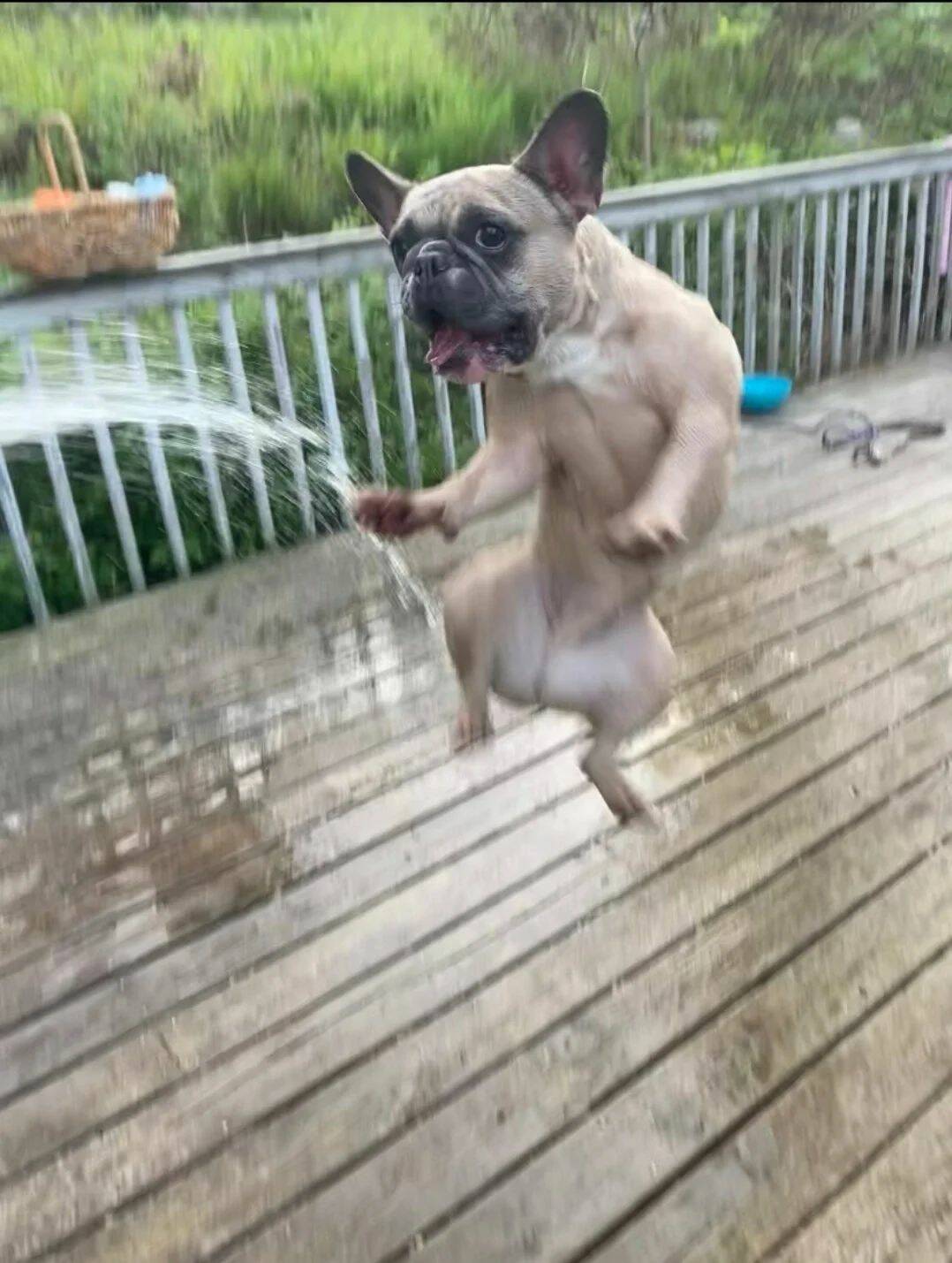 Daily Pictures. Part 1 (60 pics)