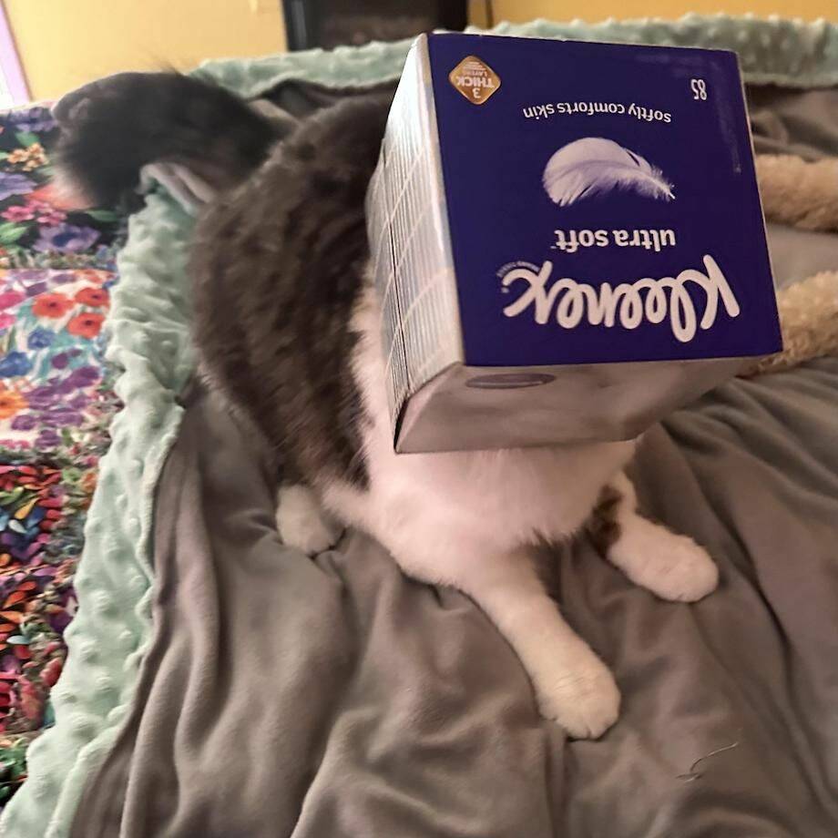 Daily Pictures. Part 2 (59 pics)