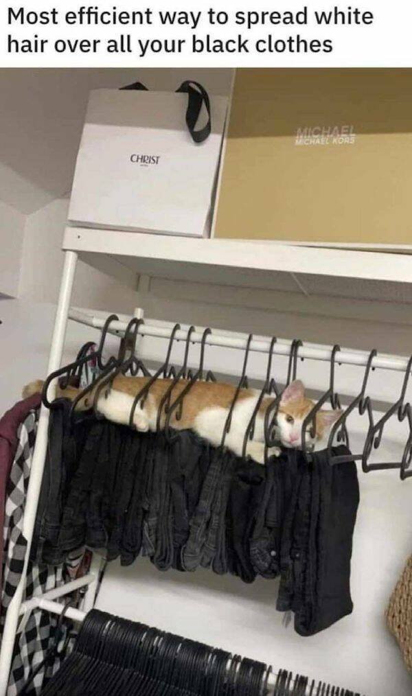 Daily Pictures. Part 2 (59 pics)