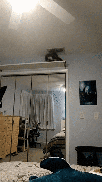 Acid GIFs, December 26 (25 gifs)