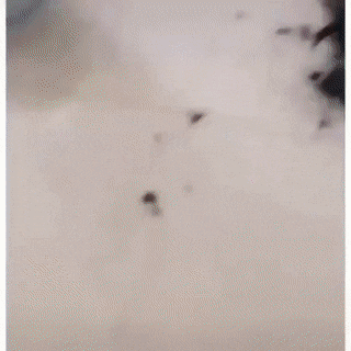 Acid GIFs, December 26 (25 gifs)