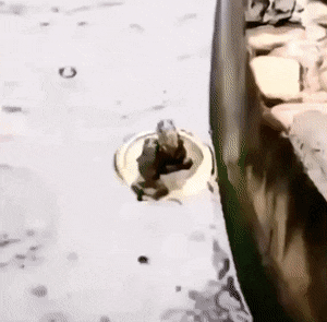 Acid GIFs, December 26 (25 gifs)