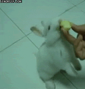 Acid GIFs, December 26 (25 gifs)