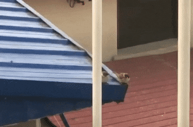 Acid GIFs, December 26 (25 gifs)