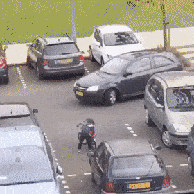 Acid GIFs, December 26 (25 gifs)