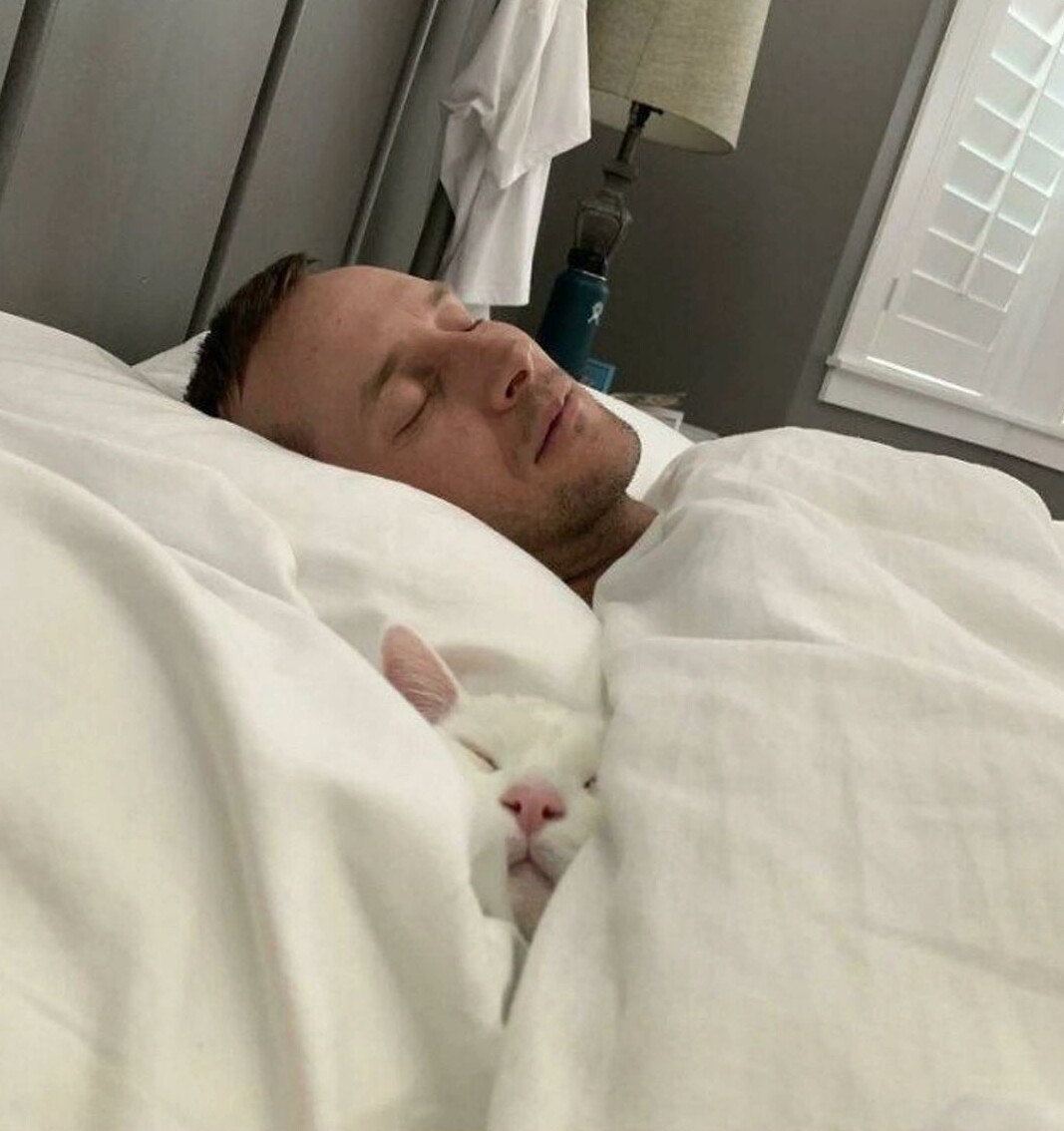 Cats Luxury Life (19 pics)