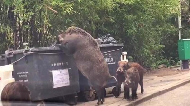 Giant Finds (20 pics)