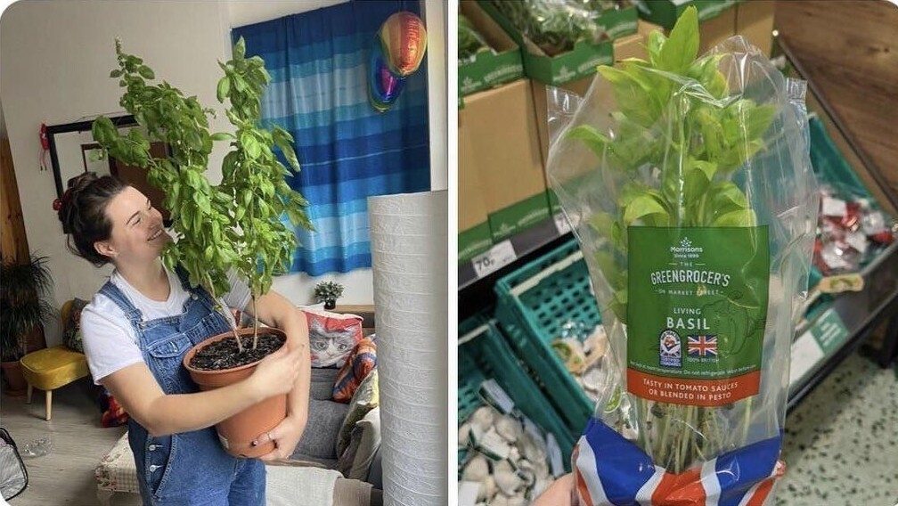 Giant Finds (20 pics)