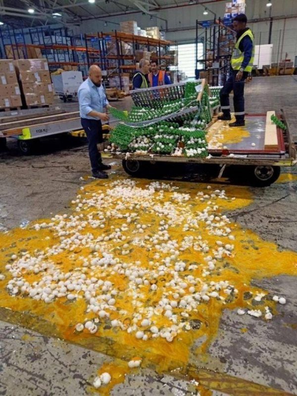 Bad Days Happen (20 pics)