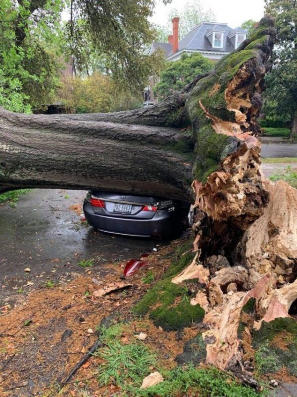 Bad Days Happen (20 pics)