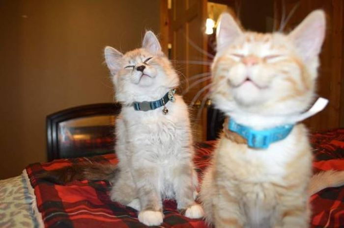 Daily Pictures. Part 1 (64 pics)