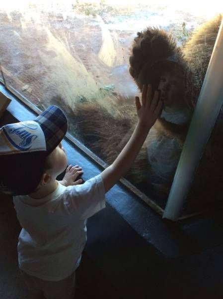 Daily Pictures. Part 1 (64 pics)