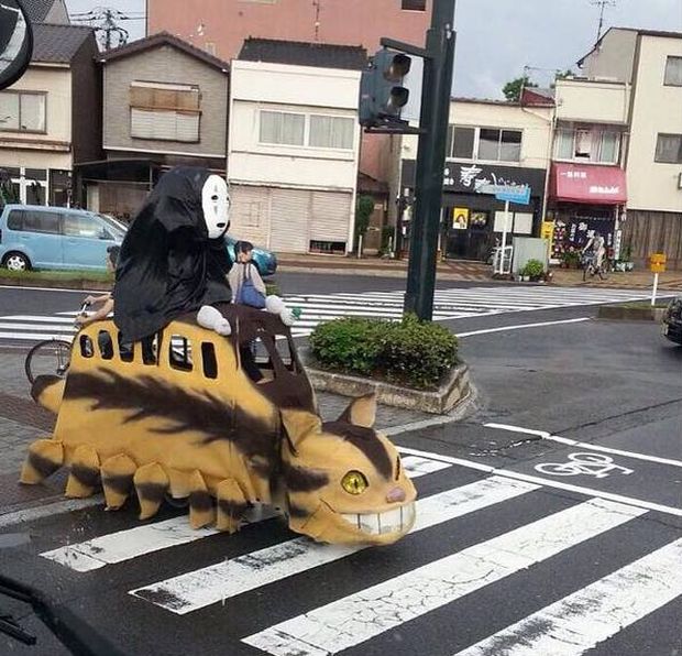 Daily Pictures. Part 1 (64 pics)