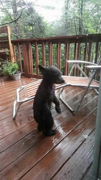 Daily Pictures. Part 1 (64 pics)