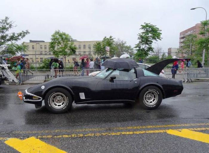 Daily Pictures. Part 1 (64 pics)