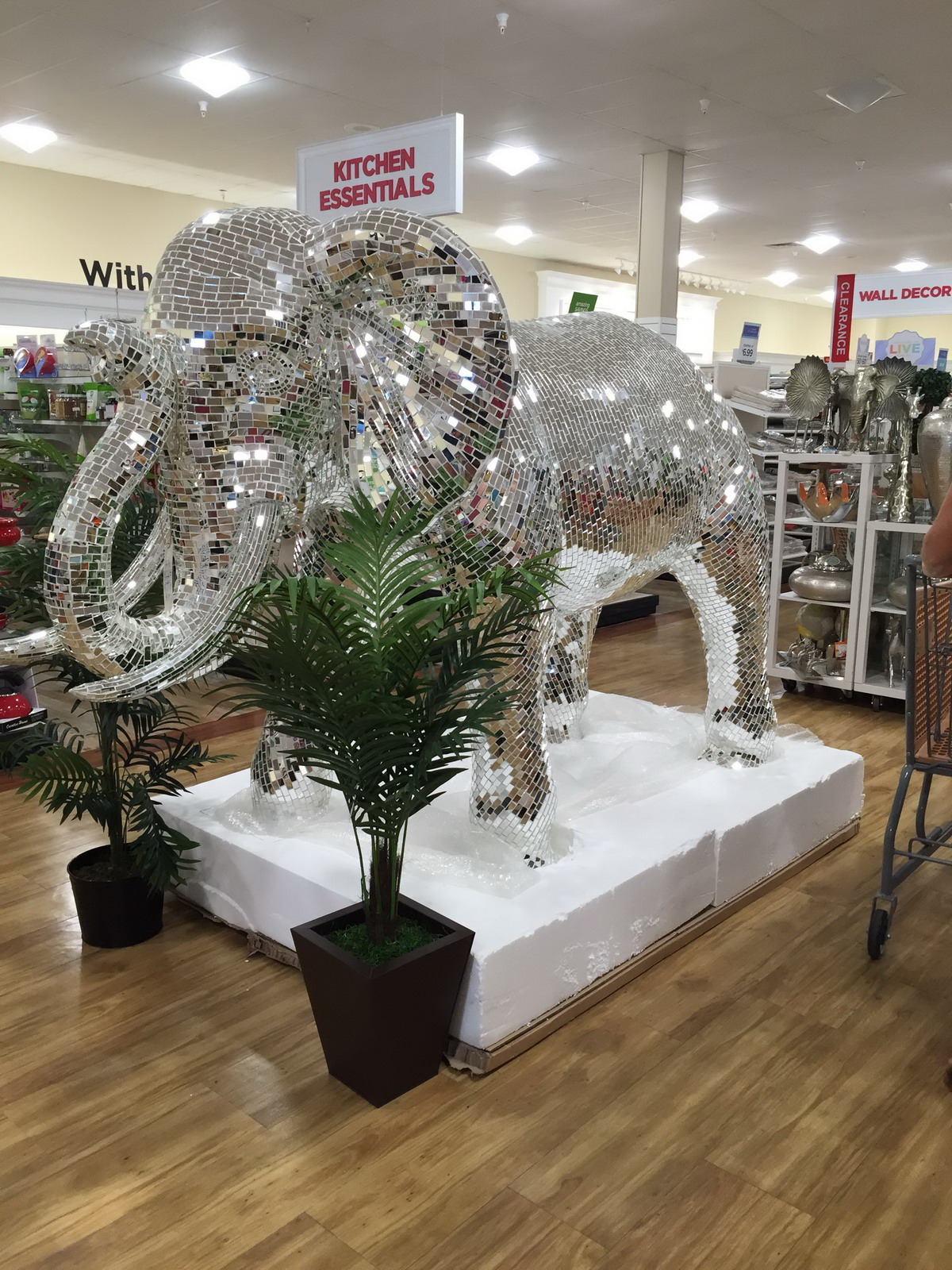 Daily Pictures. Part 1 (64 pics)