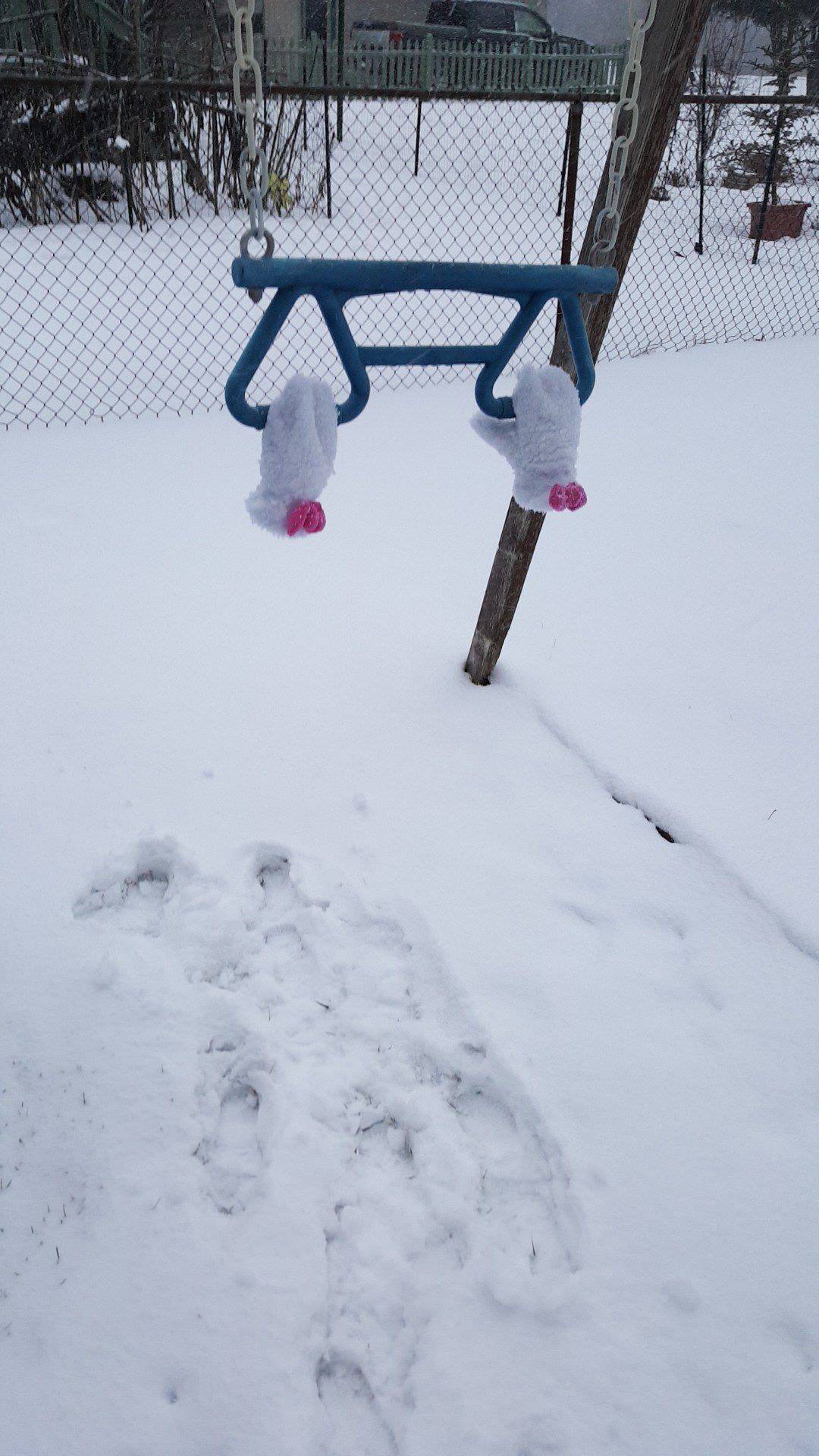 Daily Pictures. Part 1 (64 pics)