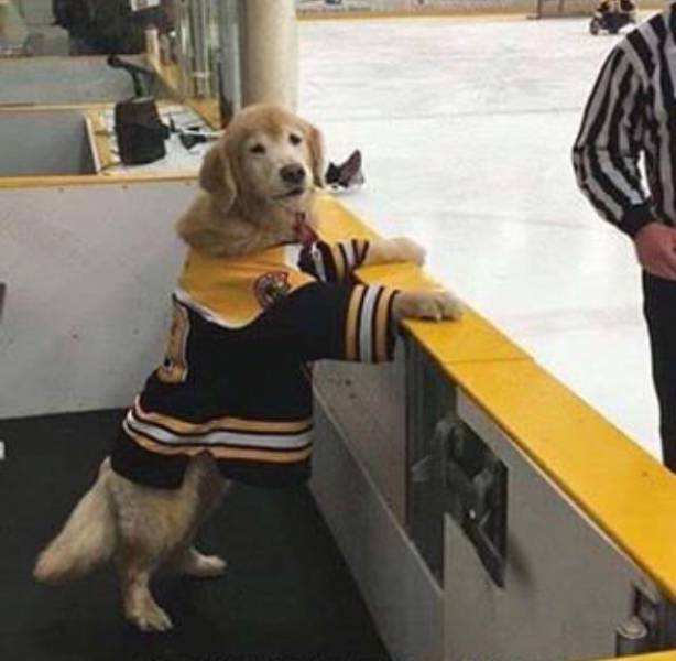 Daily Pictures. Part 1 (64 pics)