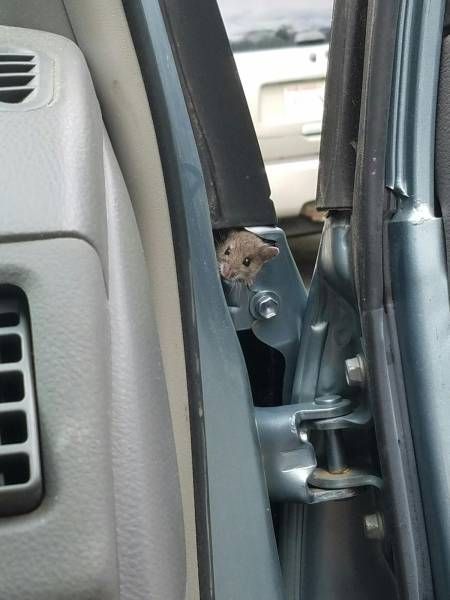 Daily Pictures. Part 2 (63 pics)