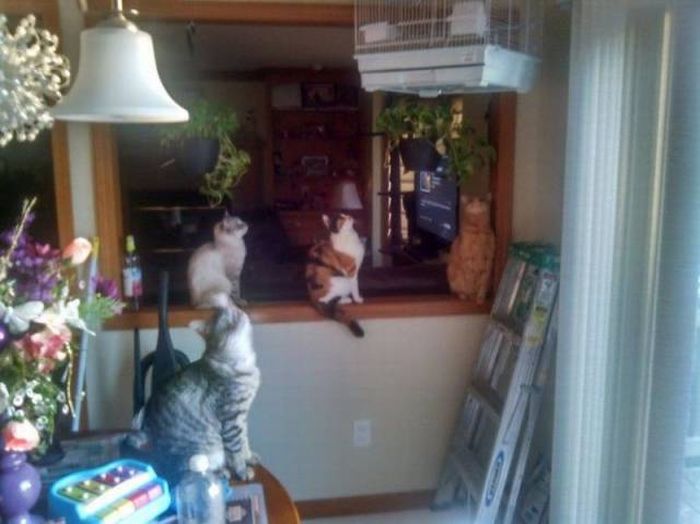 Daily Pictures. Part 2 (63 pics)