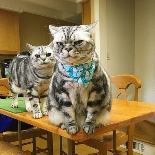 Daily Pictures. Part 2 (63 pics)