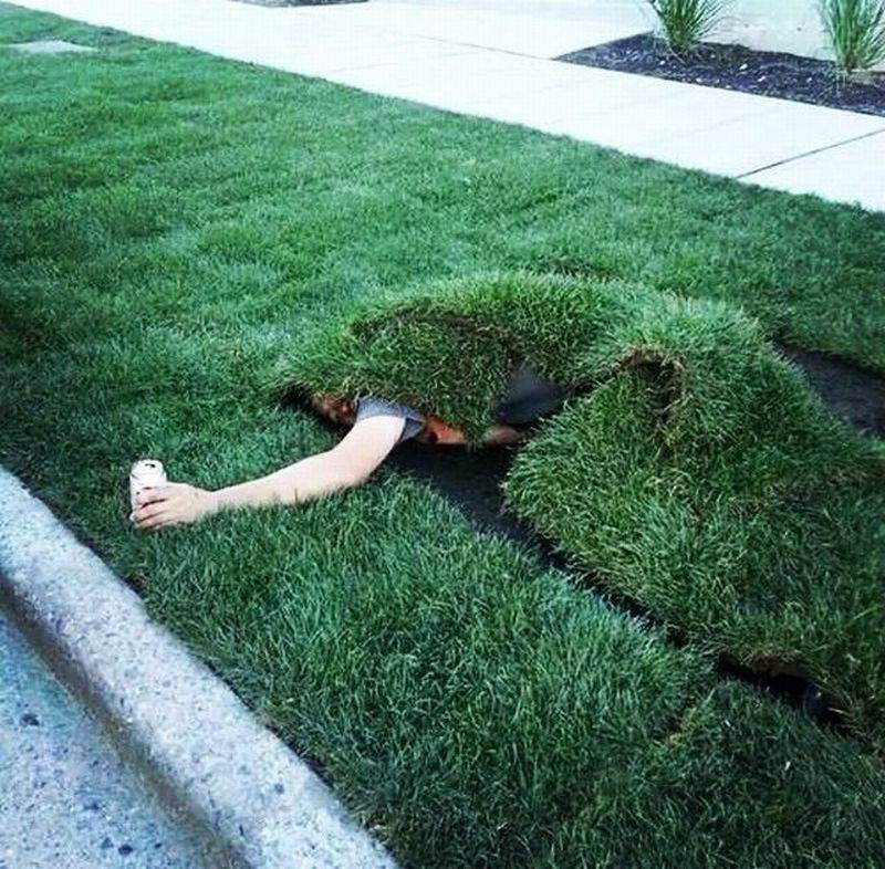 Daily Pictures. Part 2 (63 pics)