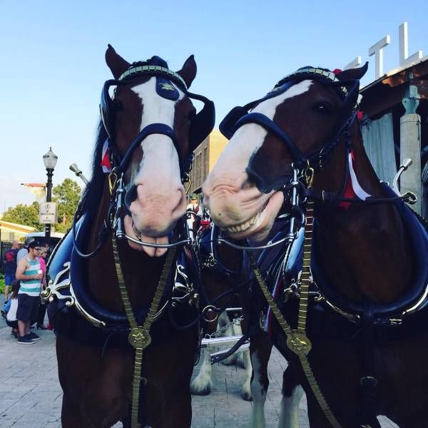 Daily Pictures. Part 2 (63 pics)