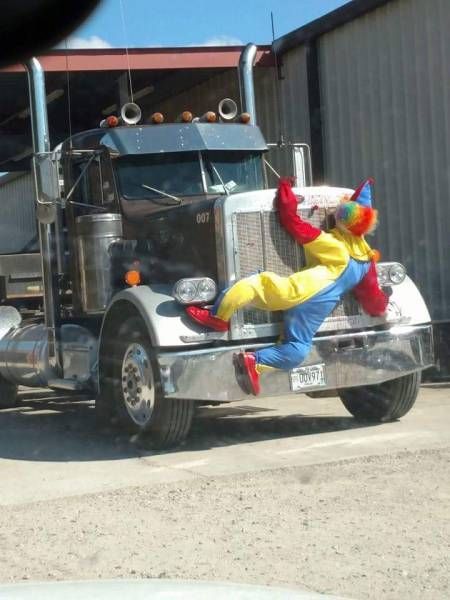 Daily Pictures. Part 2 (63 pics)