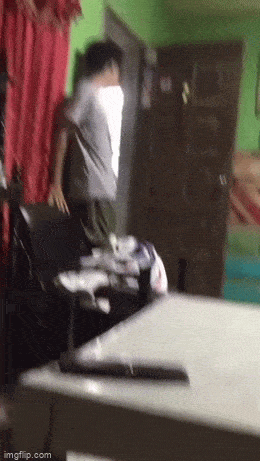 Acid GIFs, December 29 (25 gifs)