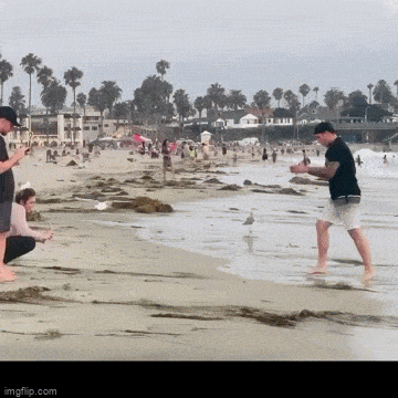 Acid GIFs, December 29 (25 gifs)